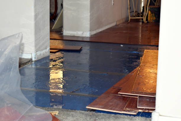 Professional Water Damage Restoration technician working in Bishop, TX